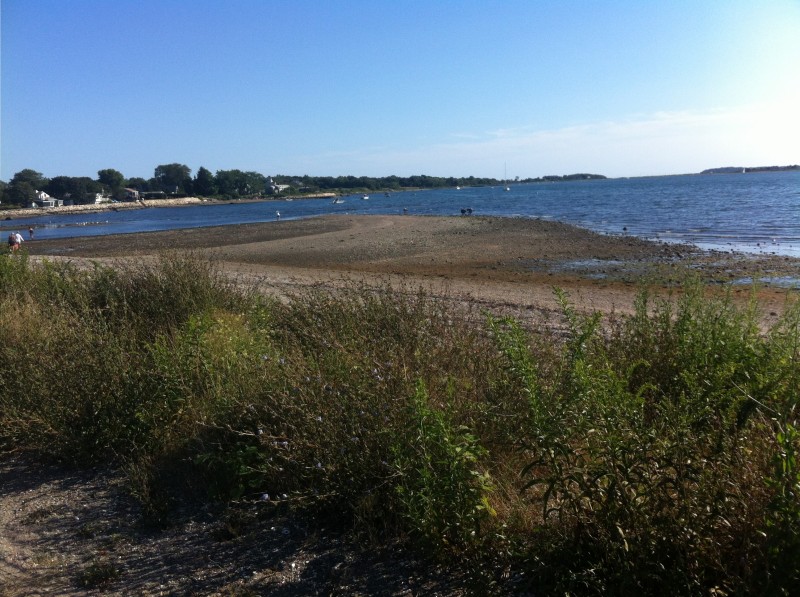 Fogland Beach shoreline and marsh landscape in Tiverton